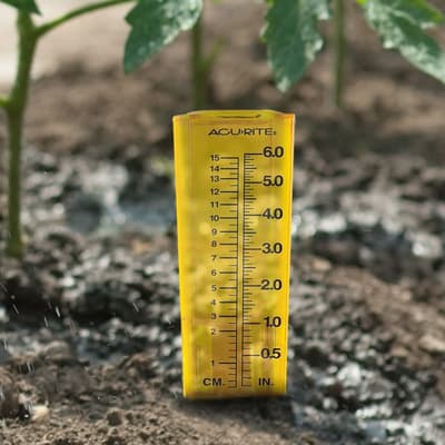 pluviometro-de-6-deluxe-00840a2-thumb-1