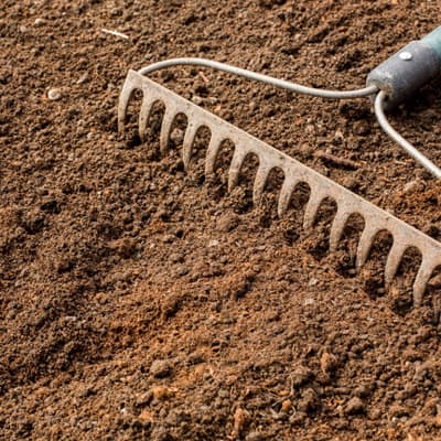 rastrillo-jardinero-54-17882-17882-thumb-1