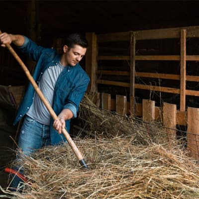 bieldo-para-paja-3-dientes-11000-11000-thumb-1