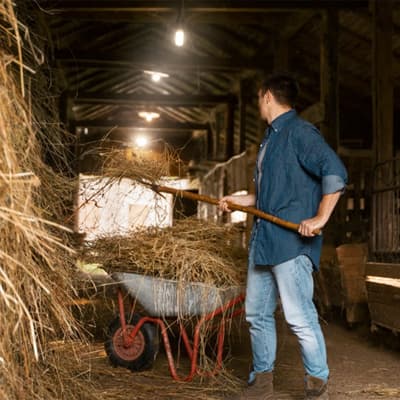 bieldo-para-paja-5-dientes-11008-11008-thumb-1