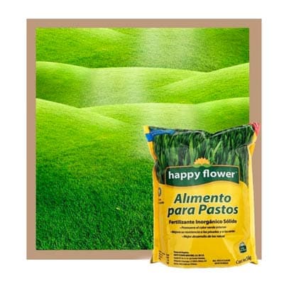 fertilizante-para-pastos-1-kg-inorganico-thumb-1