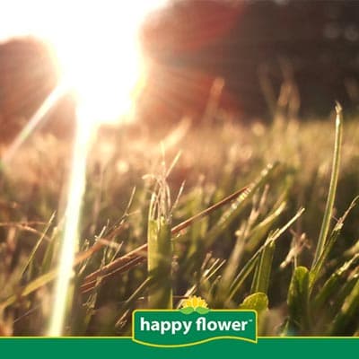 fertilizante-para-pastos-1-kg-inorganico-thumb-2