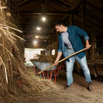 bieldo-para-paja-4-dientes-11003-11003-thumb-1