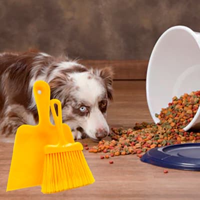 escoba-mini-con-recogedor-172-thumb-1