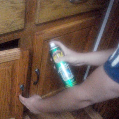 insecticida-mata-cucarachas-429ml-h24-matacucarachas-thumb-1