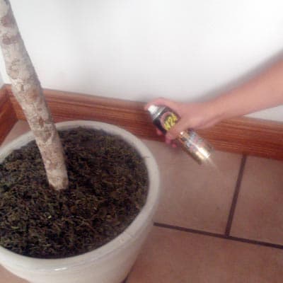 insecticida-poder-fulm-237ml-h24-poder-fulminante-eficaz-thumb-1