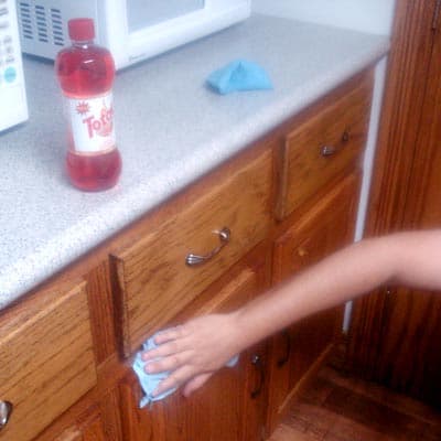 limpiador-lustra-muebles-500ml-total-lustra-muebles-thumb-1