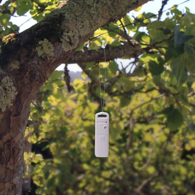 termometro-digital-inalambrico-00606a4-thumb-2