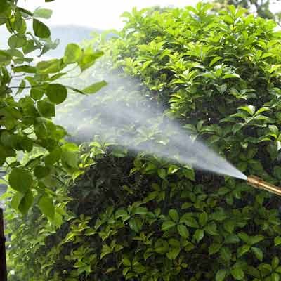 fumigador-jardinero-10837-thumb-1