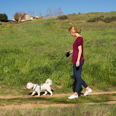 correa-retractil-pro-chico-623207-thumb-1