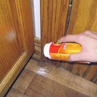 polvo-para-hormigas-100gr-h24-polvo-para-hormigas-thumb-1