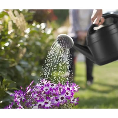 regadera-de-jardin-de-2-galones-negro-wc2g3g18-thumb-1