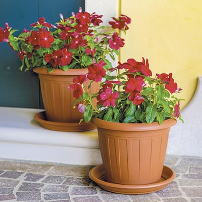 plato-para-maceta-9-barro-baun09-barro-thumb-1