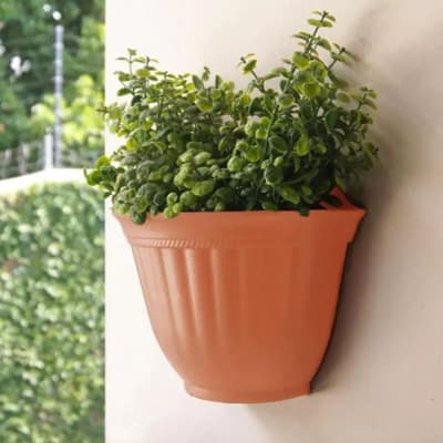maceta-para-muro-de-23-cm-barro-mpar0001-thumb-1