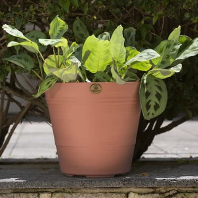 maceta-artesana-barro-plastico-maar0501-thumb-1