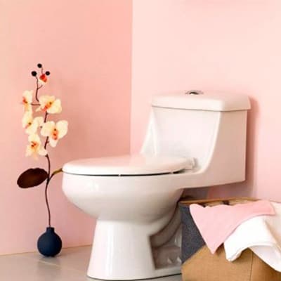 asiento-para-bano-blanco-6950ar-6950ar-000-thumb-1