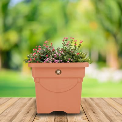 maceta-aimme-cuadrada-30-barro-macu3001-thumb-1