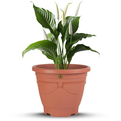 maceta-aimme-redonda-12-barro-mard1201-thumb-1