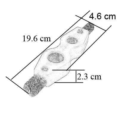 cepillo-limpiador-de-baterias-4-en-1-truper-ceal-4-thumb-5