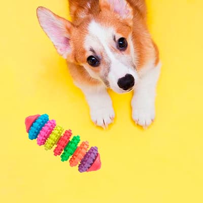 mordedera-limpia-dientes-chico-664501-thumb-1