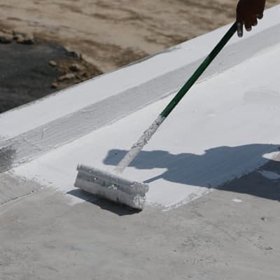 cepillo-de-ixtle-para-impermeabilizante-401167-thumb-1