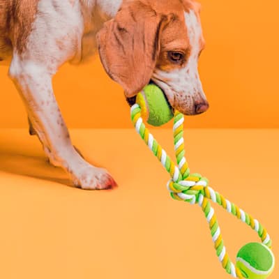 mordedera-de-cuerda-con-pelotas-681003-thumb-1