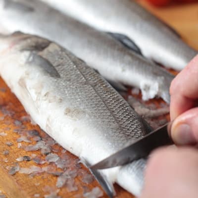 removedor-de-escamas-1025s-thumb-1