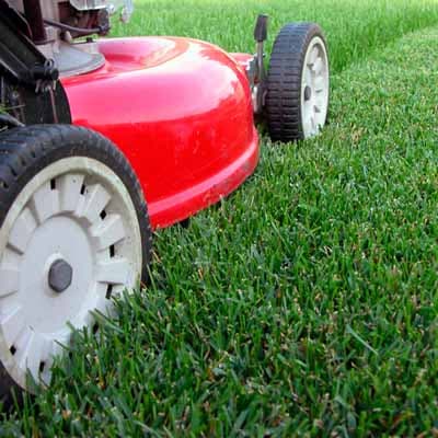 cuchilla-pcortacesped-20-331980-thumb-2