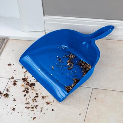 recogedor-blue-morpho-1365-13651c24-thumb-1