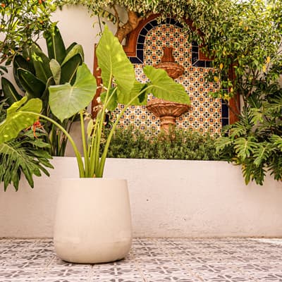 maceta-camelia-40-arena-camelia-40-thumb-1