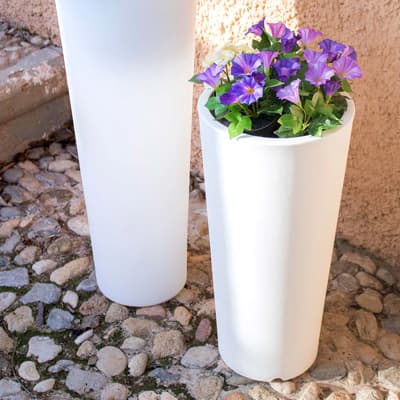 maceta-ficus-60-blanco-ficus-60-thumb-1