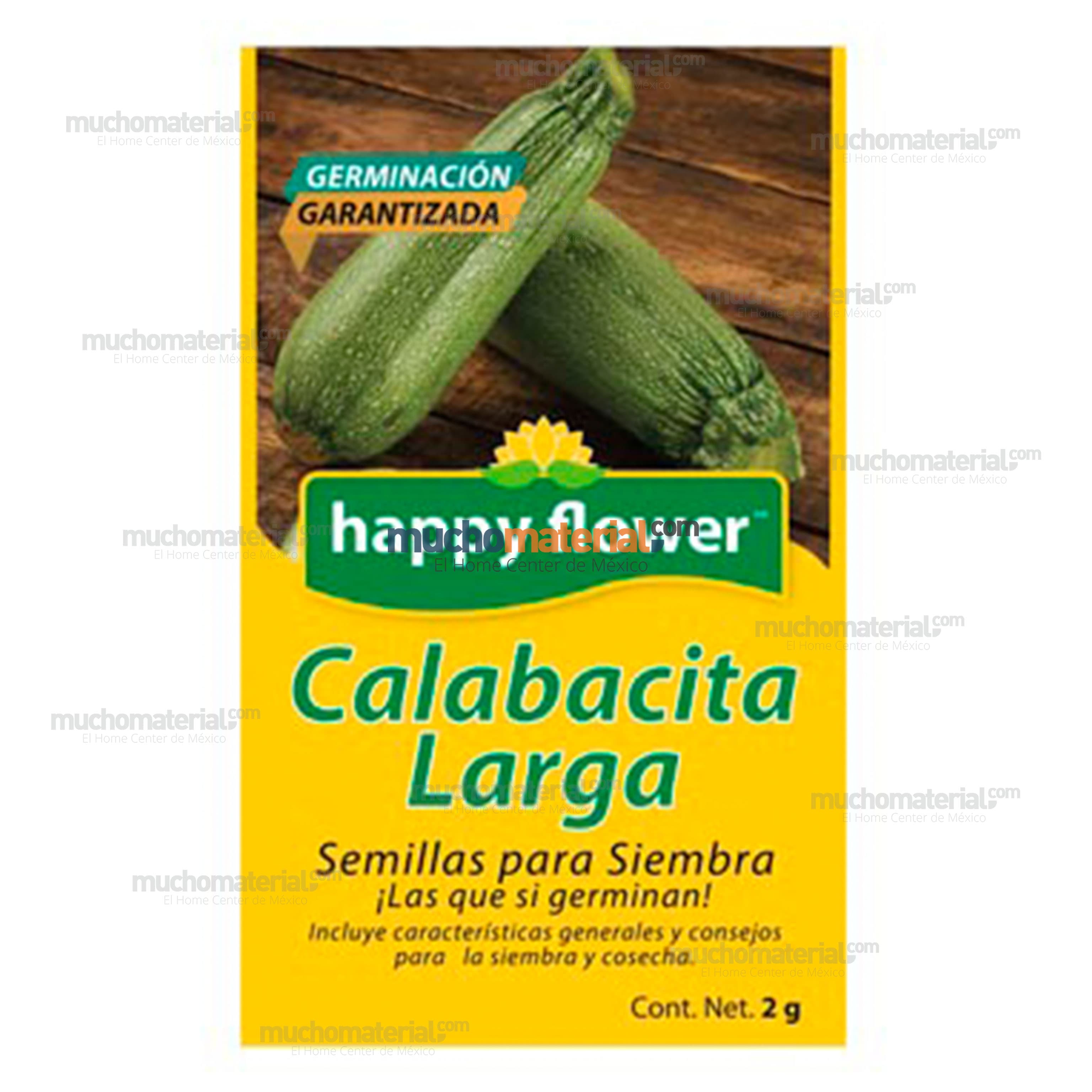 semilla-para-siembra-de-calabacita-larga-ne