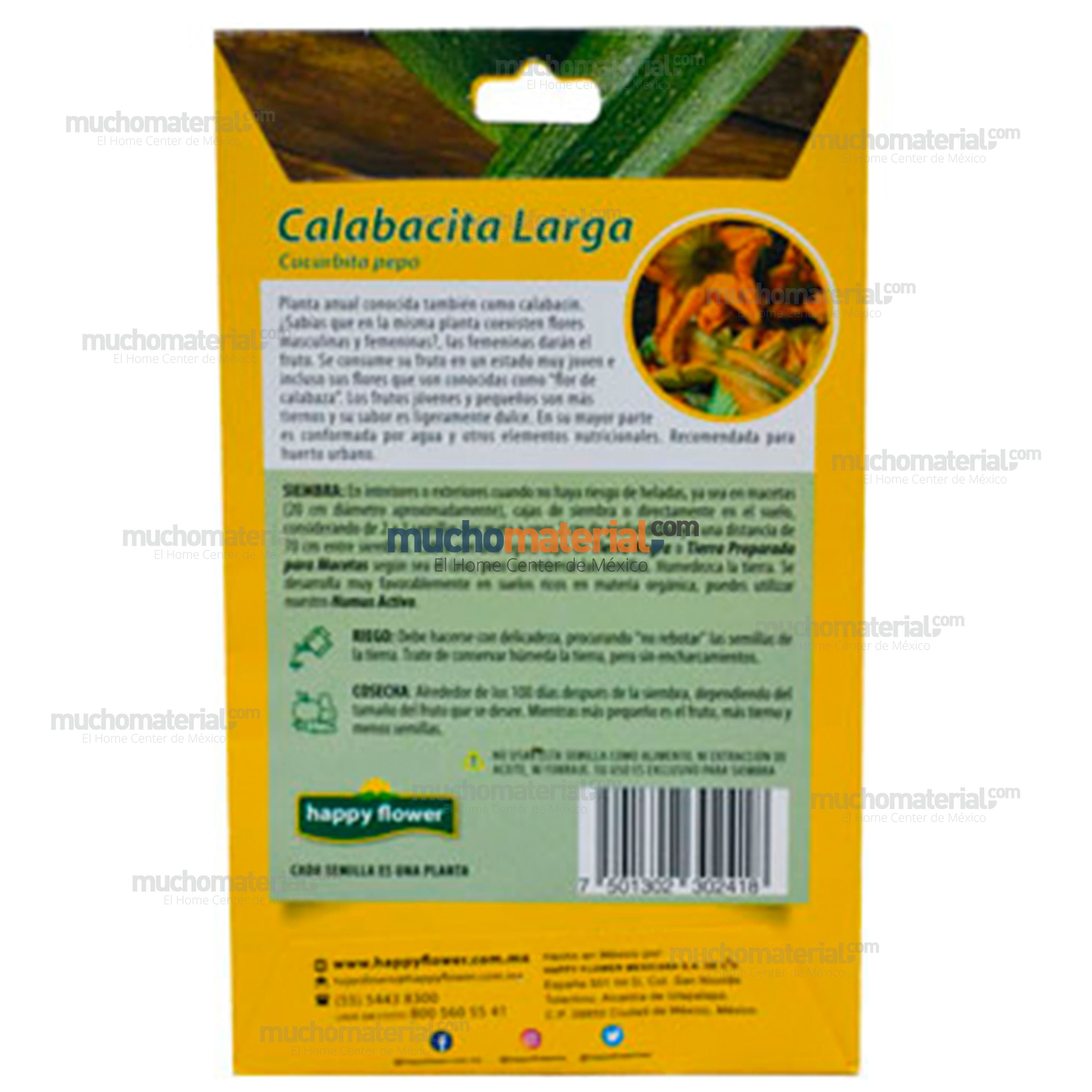 semilla-para-siembra-de-calabacita-larga-ne-thumb-3