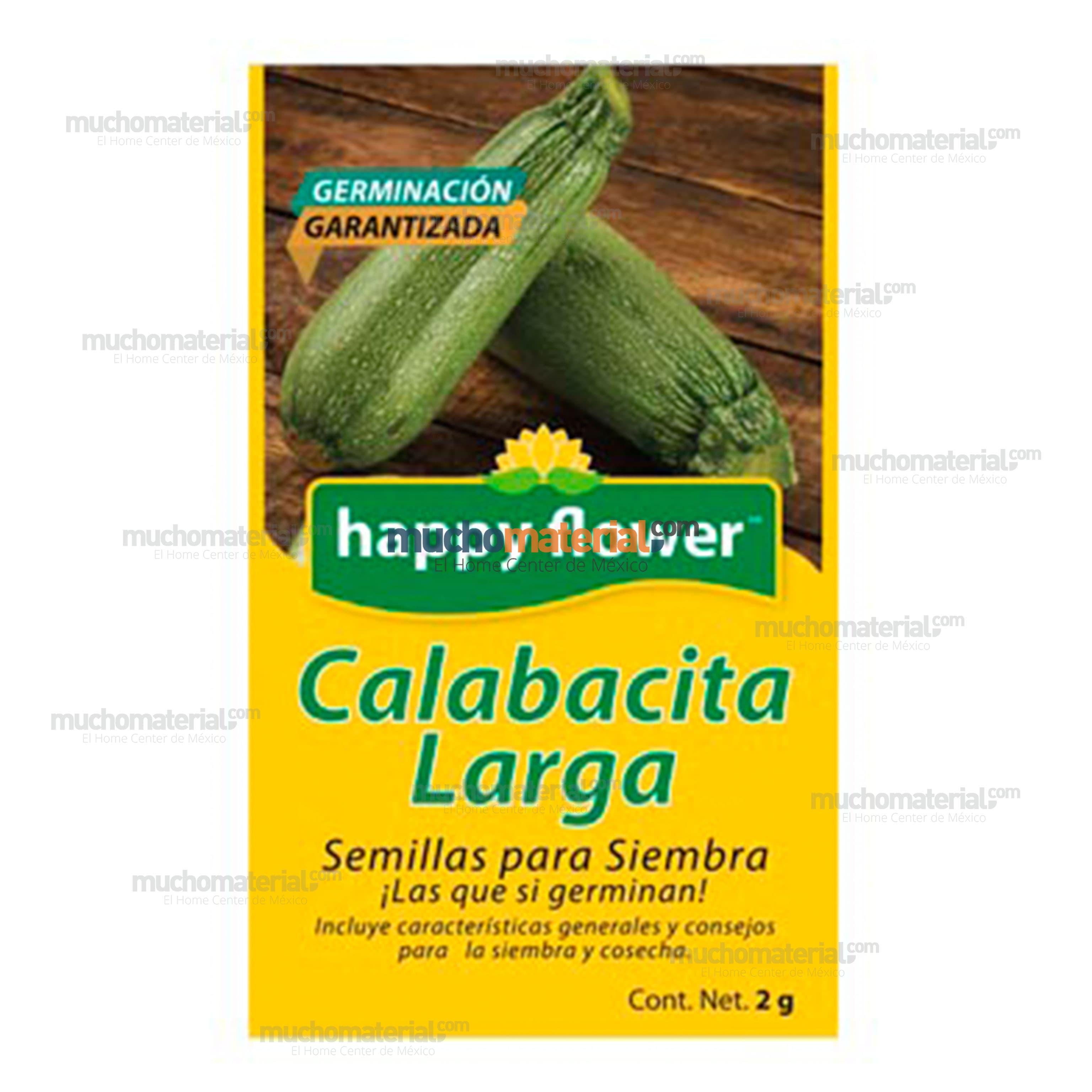 semilla-para-siembra-de-calabacita-larga-ne-thumb-4