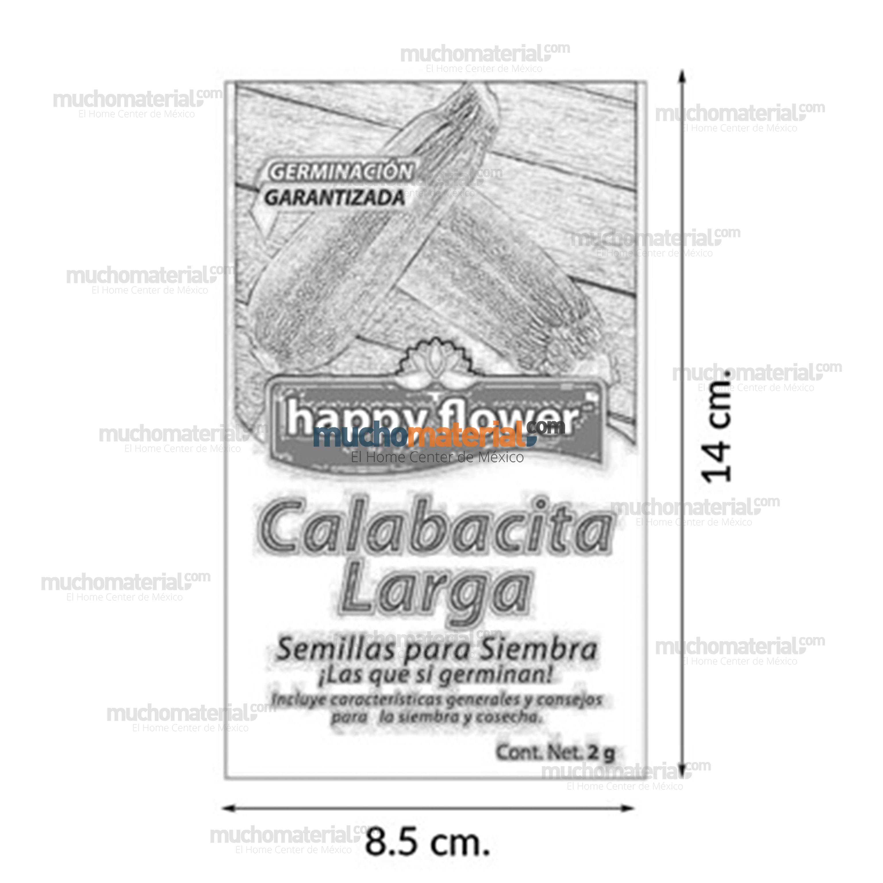 semilla-para-siembra-de-calabacita-larga-ne-thumb-5