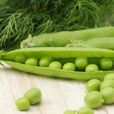 semilla-para-siembra-de-frijol-ejotero-ejotero-thumb-2