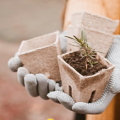 tierra-de-hojas-gardens-4-kg-organico-thumb-1