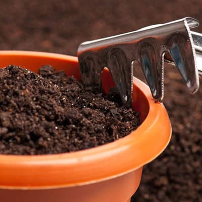 tierra-preparada-para-macetas-10-kg-organico-thumb-1