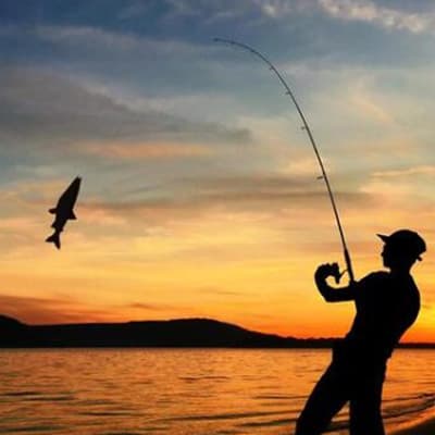 cana-de-pesca-south-bend-proton-57030436-57030436-thumb-1