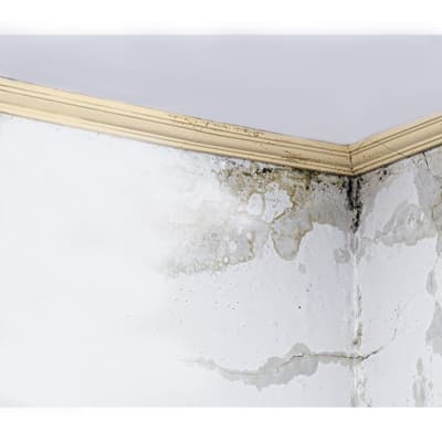 impermeabilizante-zero-salitre-sika-5-493145-thumb-1