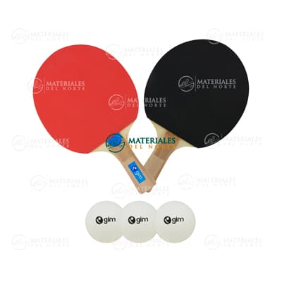 RAQUETAS PING PONG      