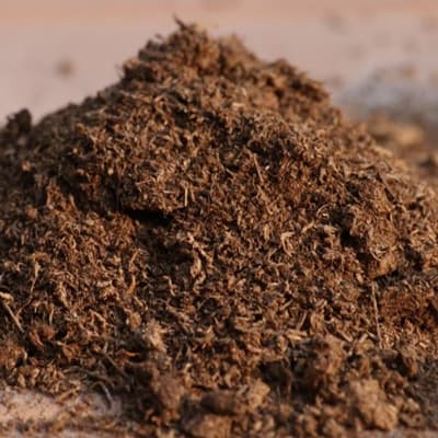 sustrato-peat-moss-10-lts-organico-thumb-1