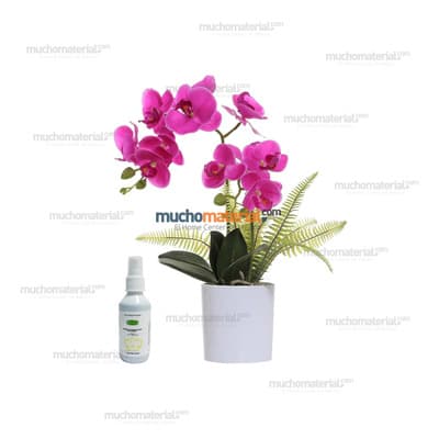 fertilizante-para-orquidea-orquidea-thumb-1