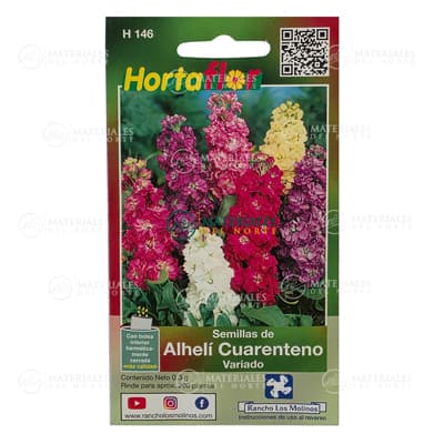 semilla-para-siembra-horta-alheli-cuarenteno-h-146-h-146