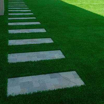 semilla-para-pasto-sombra-sem3813-thumb-1