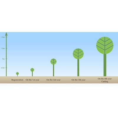 nitro-tabletas-20-pack-032-thumb-2