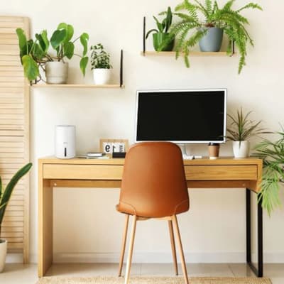 deshumidificador-ambiental-air-240-thumb-1