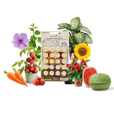 nitro-tabletas-para-floracion-20-pack-023hd-thumb-1