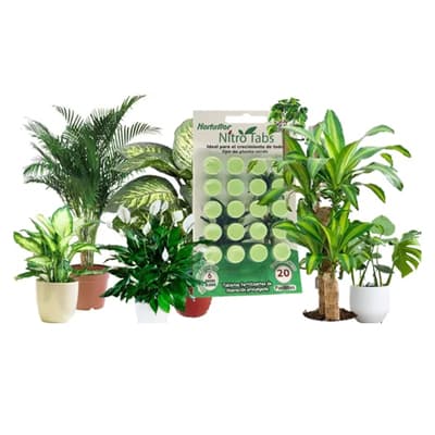 nitro-tabletas-para-plantas-verdes-20-pack-021hd-thumb-1