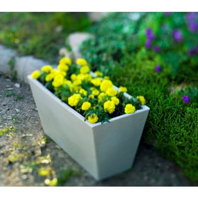 maceta-rectangular-jazmin-blanco-jazmin-60-thumb-1